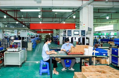 數(shù)字化內銷路徑帶火外貿產品